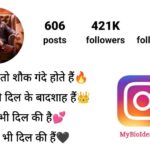 Instagram Bio Shayari