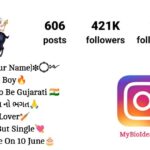 Meldi Ma Bio For Instagram
