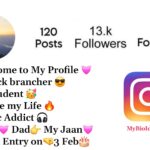 Instagram Bio For Students