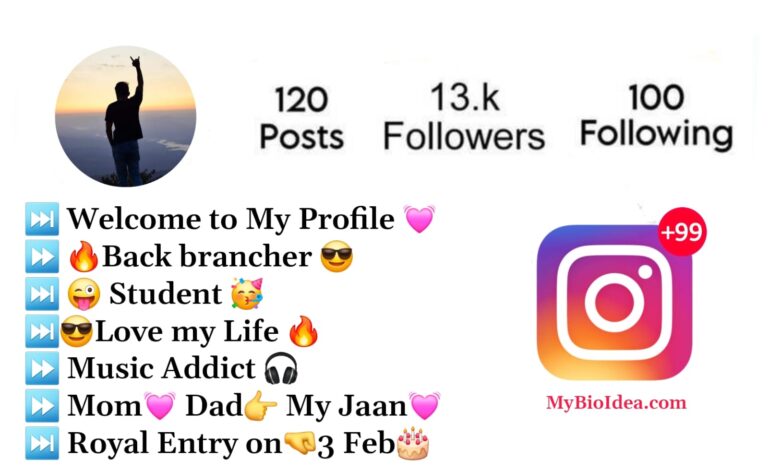 Instagram Bio For Students