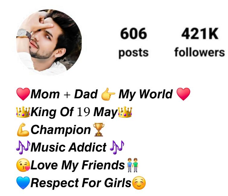 Instagram Bio For Boys Attitude