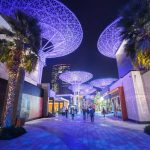 Your Guide to the Most Sophisticated Nightlife Experience