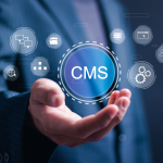 Why Headless CMS Is the Ideal Platform for Franchise and Dealer Networks
