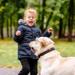 Do You Need a Lawyer After a Dog Bite in Denver